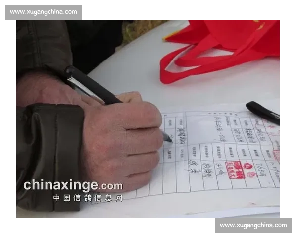 鸽子竞技大赛风云再起 展现飞翔与速度的极限挑战